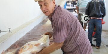 Tem Feira do Peixe de Estrela no sábado