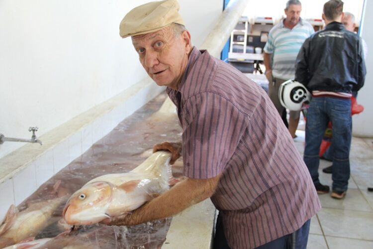 Tem Feira do Peixe de Estrela no sábado