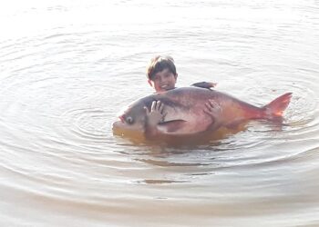 Nova Feira do Peixe no sábado (05)