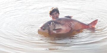 Nova Feira do Peixe no sábado (05)