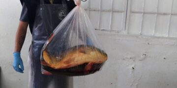 Ocorre sábado última Feira do Peixe do ano