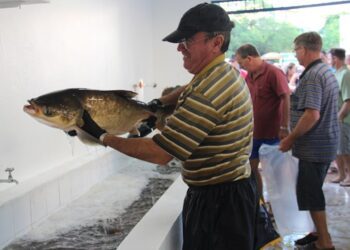Feiras em Estrela vão oferecer em torno de 10 mil quilos de peixe