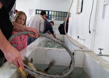 Secretaria da Agricultura anuncia mais duas Feiras do Peixe neste mês