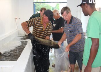 Estrela realiza mais uma Feira do Peixe no sábado