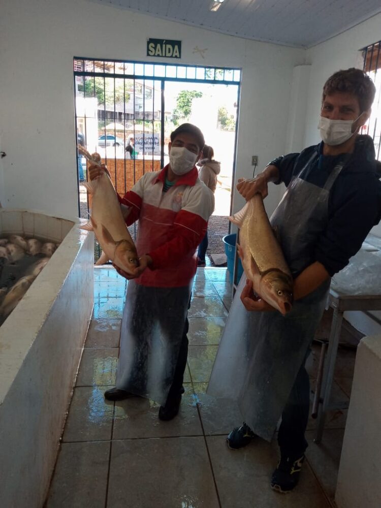 Ocorre sábado a primeira Feira do Peixe do ano de Estrela