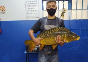 Tem Feira do Peixe em Estrela no sábado