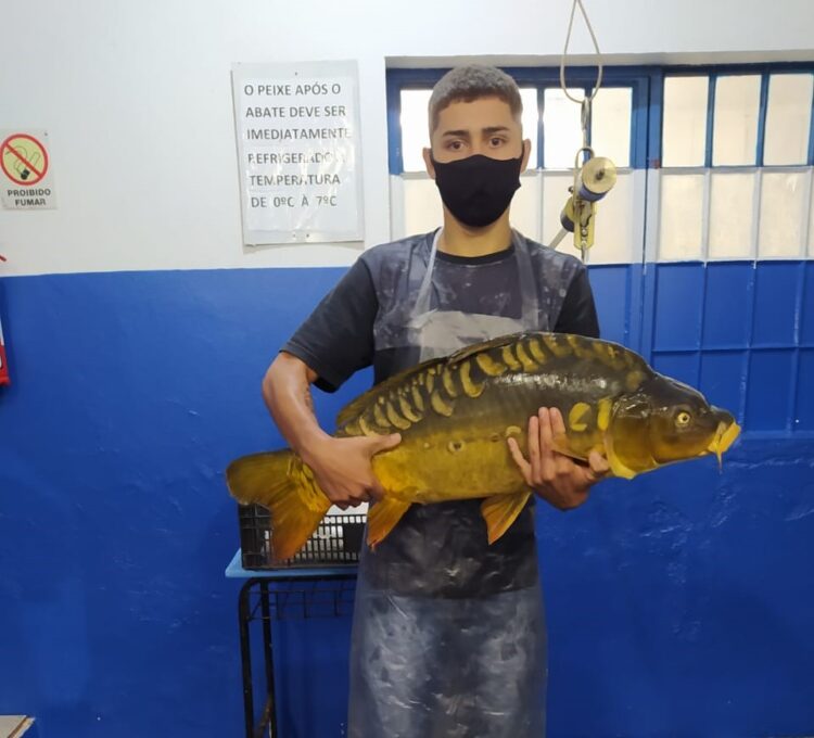 Tem Feira do Peixe em Estrela no sábado