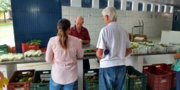 Agricultura elabora material para orientar sobre inspeção municipal
