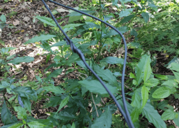 Muçum: Departamento de água registra ocorrência por ação de vândalos