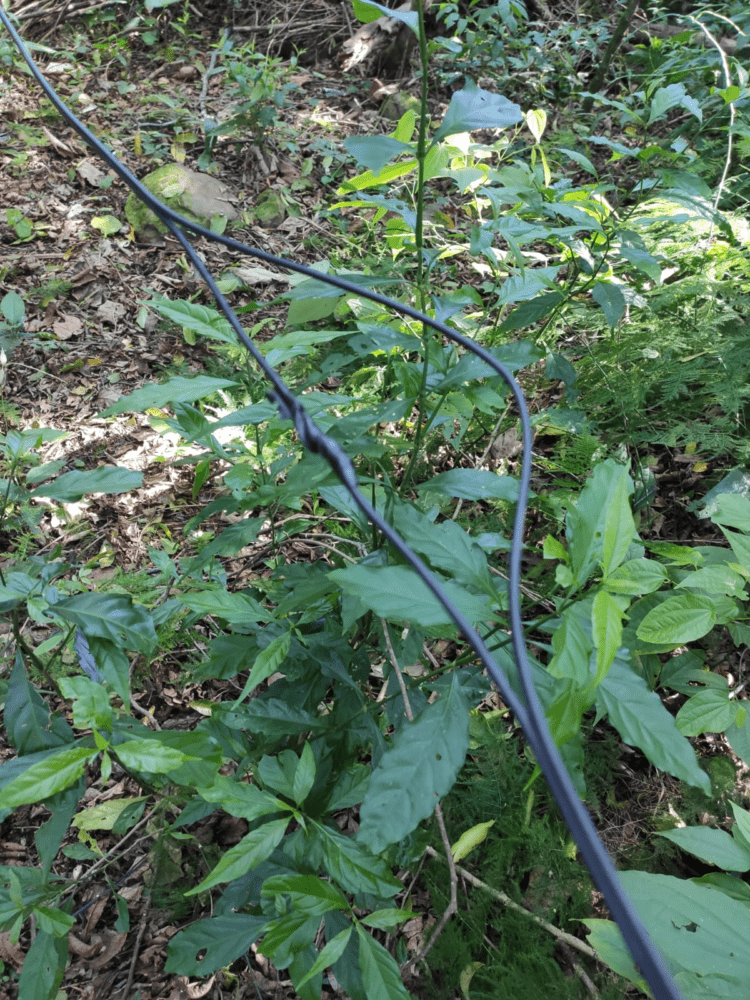 Muçum: Departamento de água registra ocorrência por ação de vândalos