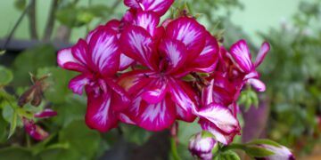 Primavera chega sob influência do fenômeno La Niña