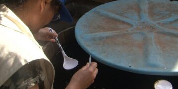 Agentes do município realizam vistoria   contra o mosquito da Dengue