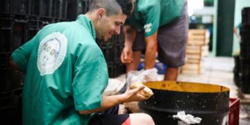Prato para Todos atende 50 mil pessoas em novembro