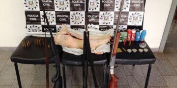 Polícia Civil prende homem por posse ilegal de arma de fogo em Muçum