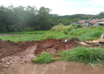 Horta comunitária deve fomentar associação de moradores