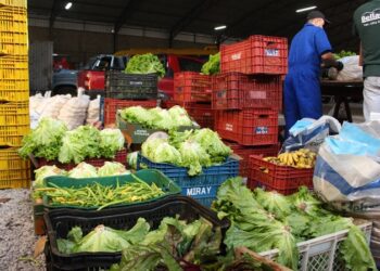 Alimentos são distribuídos a moradores escolas e entidades através de programa federal