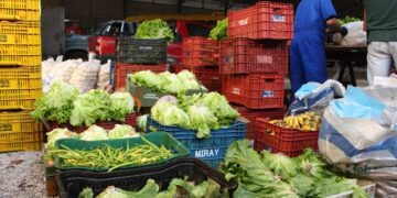 Alimentos são distribuídos a moradores escolas e entidades através de programa federal