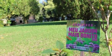 Concurso “Meu jardim mais bonito”: jardins serão avaliados em novembro