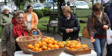 Venha ‘bergamotear’ na Praça Flores da Cunha nessa quarta-feira