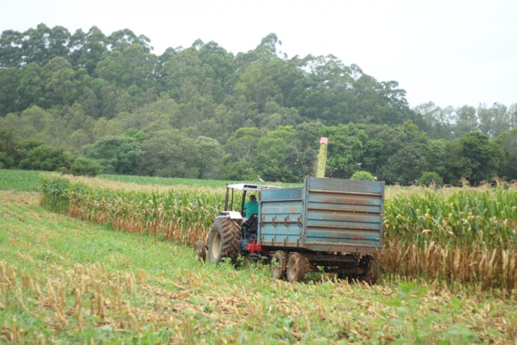 Município altera Lei de Incentivo à Produção Primária