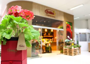 Setembro chegou e com ele a primavera que lembra flores e com elas… Floricultura Dália