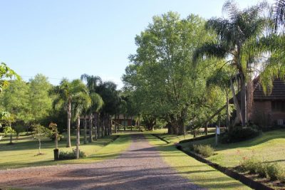 Jardim Botânico é um dos símbolos da cidade que completa 126 anos (Foto: Divulgação)