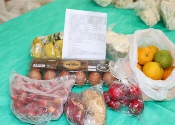 Kits de agricultura familiar serão distribuídos para cerca de 1.280 famílias