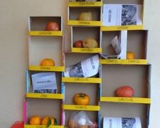 Jornal incentiva crianças a comerem frutas
