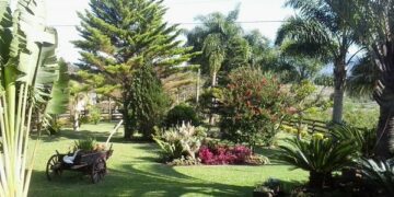 Colinas realiza a escolha dos melhores jardins
