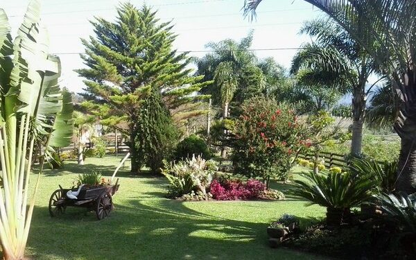 Colinas realiza a escolha dos melhores jardins