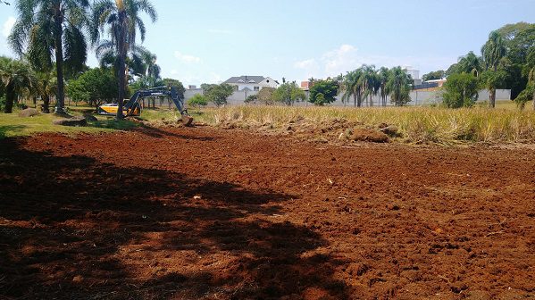 Prefeitura de Lajeado retira vegetação em lagoa do Bairro Carneiros
