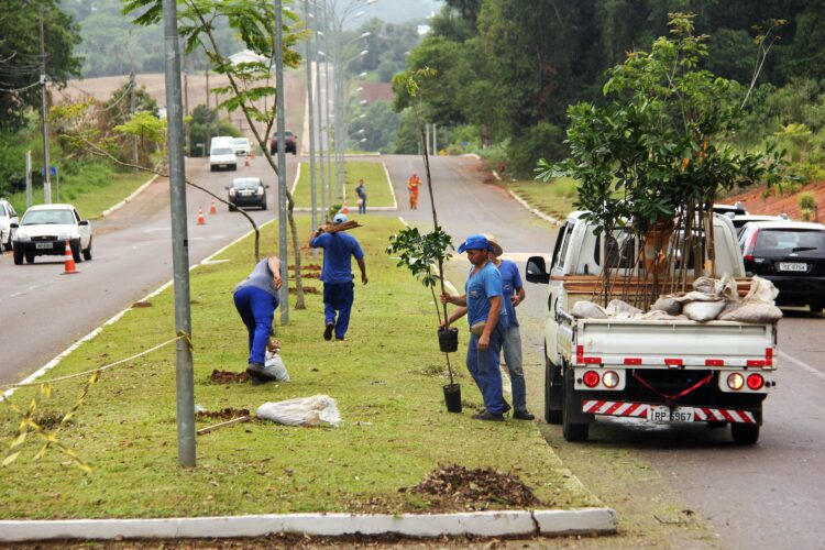Programa Lajeado Mais Verde completa um ano com 804 árvores plantadas