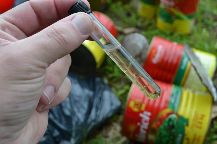 Vigilância Ambiental registra aumento no número de focos do mosquito Aedes aegypti em Teutônia