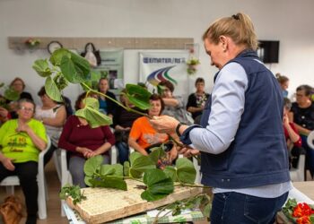 Colinas sedia Encontro de Plantas Medicinais, Aromáticas e Condimentares