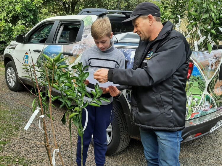 Agricultura e Emater entregam mais de 1.300 mudas de frutíferas