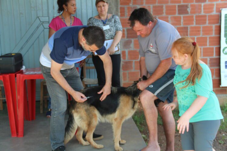 Prefeitura de Estrela fará vacinação de cães neste sábado