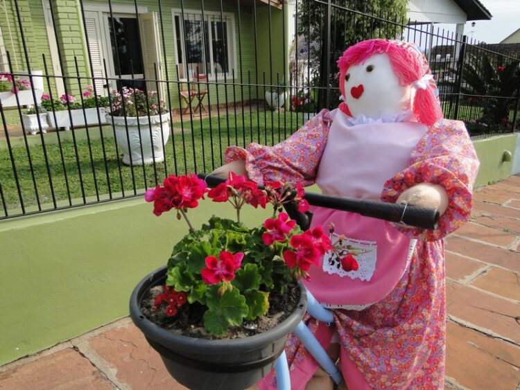 Cidade Jardim está decorada para a 26ª Festa das Flores