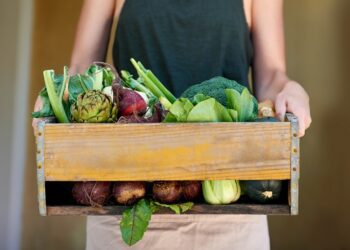 Semana da Alimentação 2020 terá duelos culinários para estimular aproveitamento integral de alimentos