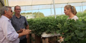 Parceria com produtores incrementa economia do município
