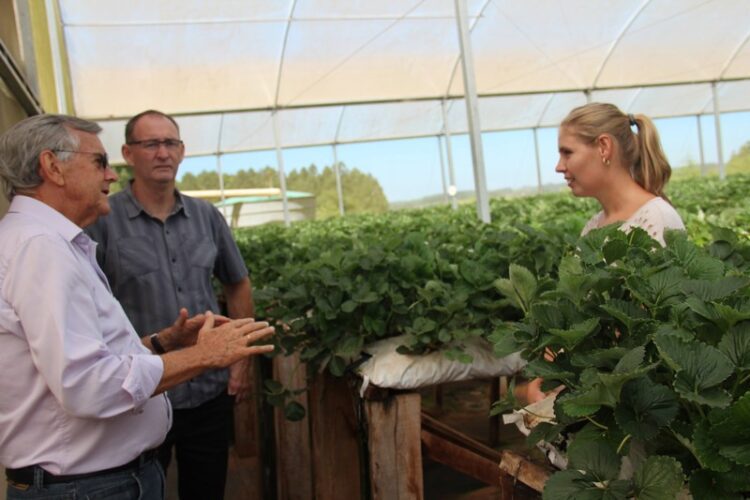 Parceria com produtores incrementa economia do município