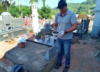 Ações intensificadas para combater o mosquito Aedes aegypti