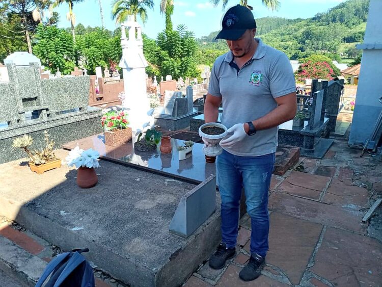 Ações intensificadas para combater o mosquito Aedes aegypti