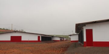 Prefeitura emite licença para aviários que vão produzir 1,5 milhão de frangos
