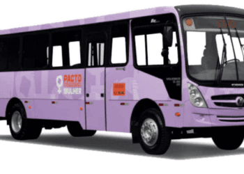 Violência doméstica será o foco da Ação Cidadania da Mulher