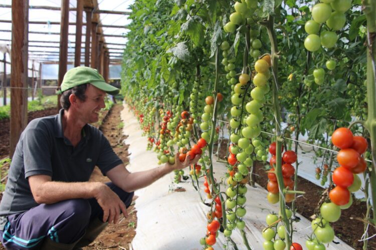 Santa Clara participa de Fórum Internacional de Cooperativismo em Produção Orgânica