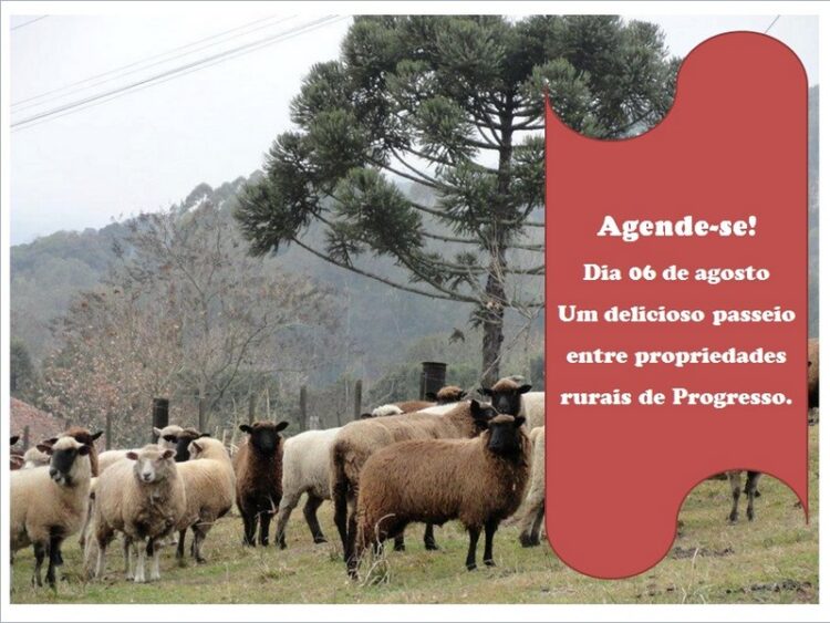 Município sedia mais um passeio rural Vales e Montanhas