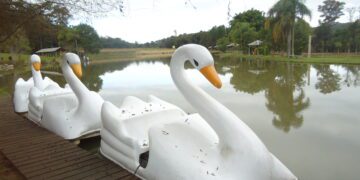 Parque Denardi