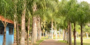 Parque 13 de Abril receberá nova infraestrutura