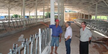 Investimentos no setor primário impulsionam economia de Estrela