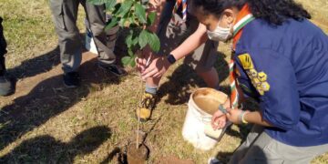 Avenida Benjamin Constant recebe mais de 200 mudas de árvores no programa Lajeado Mais Verde